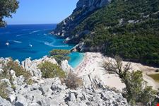Sisine_1148966099