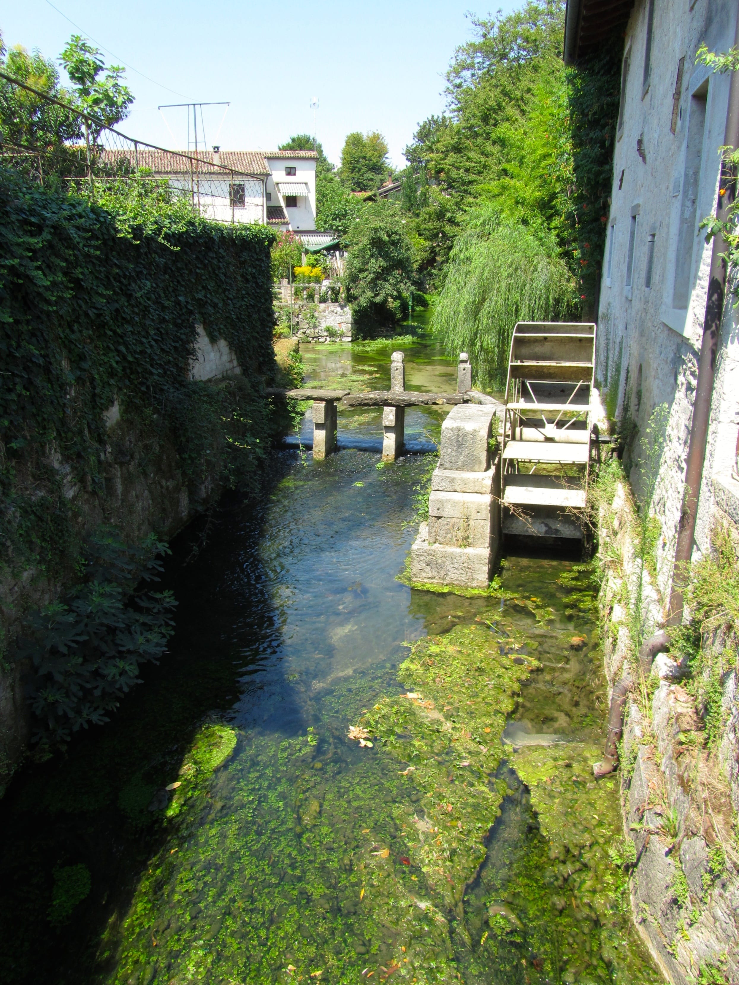 Strassoldo_90930066-min.jpeg
