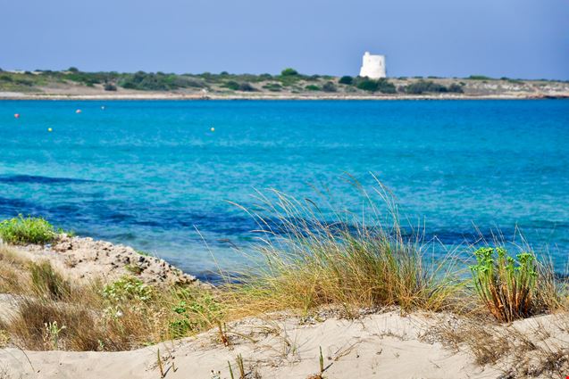 Punta_Suina