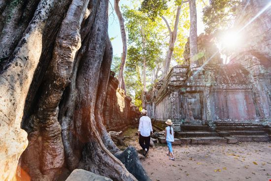 Ta_Prohm_1079553353 Ta_Prohm_1079553353  