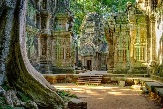 Ta_Prohm_1163637748 Ta_Prohm_1163637748  