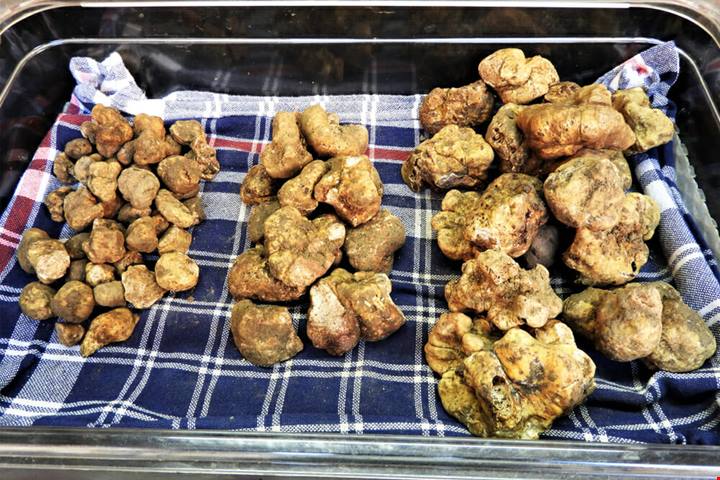 Ottobre in Italia: 11 eventi e sagre d'autunno tra castagne, vele e tartufi