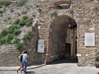 Termoli_351307020-min.jpeg