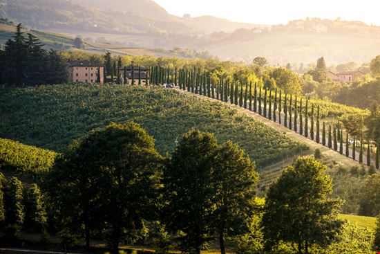 Terre di Castelli_1445156270 Terre di Castelli_1445156270  