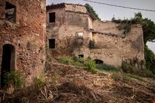 Toiano_316932020