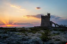 torre colimena_427510775.jpeg