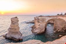 Torre_Andrea_201419391-min.jpeg