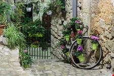 tourrettes sur loup_248170438