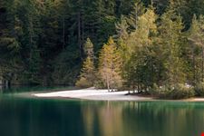 Tovel_1970049649