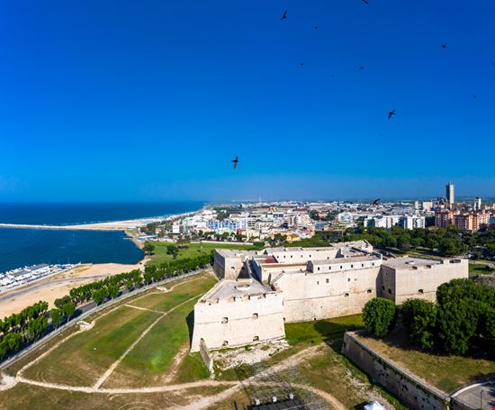 Trani_1732630010 Trani_1732630010  