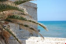 Trani_1816614407