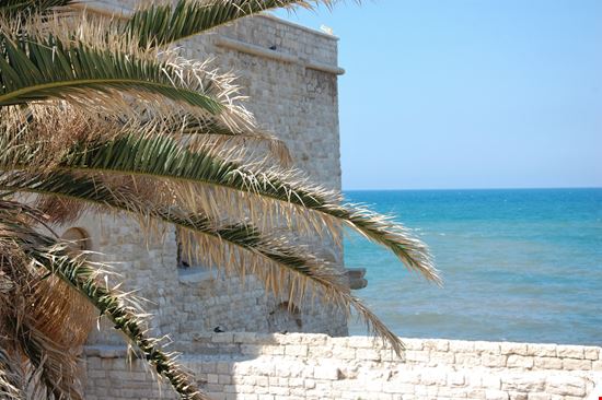 Trani_1816614407 Trani_1816614407  