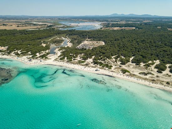 Es Trenç Palma de Mallorca  