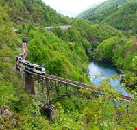 treno-panoramico-vigezzina-centovalli treno-panoramico-vigezzina-centovalli