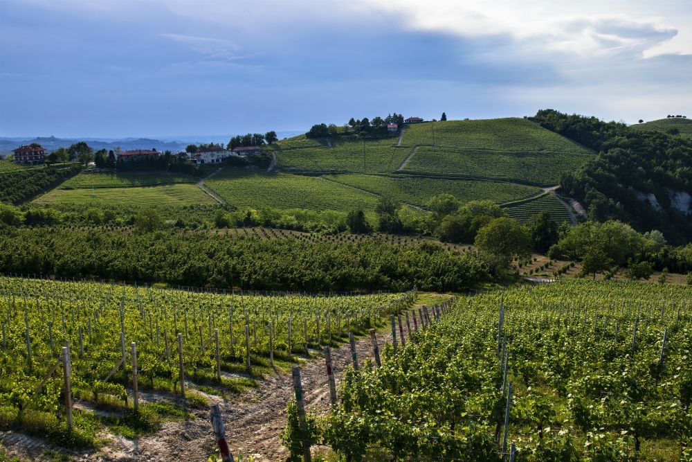 trezzo_tinella