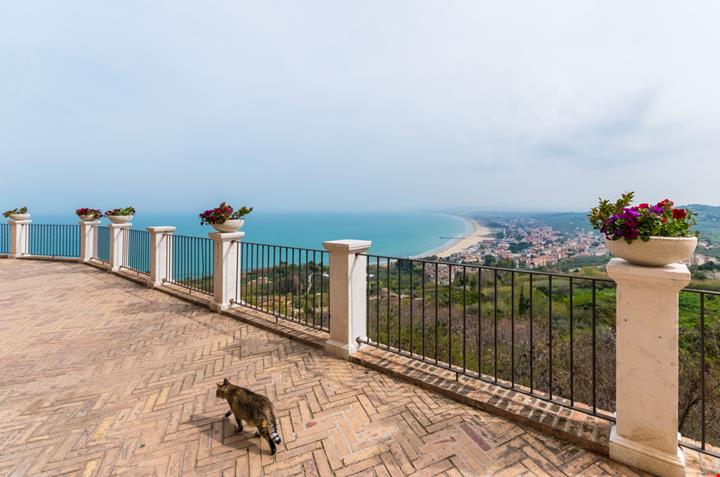 Vasto_413209123
