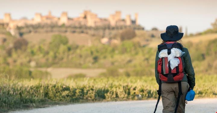 Via Francigena Canva