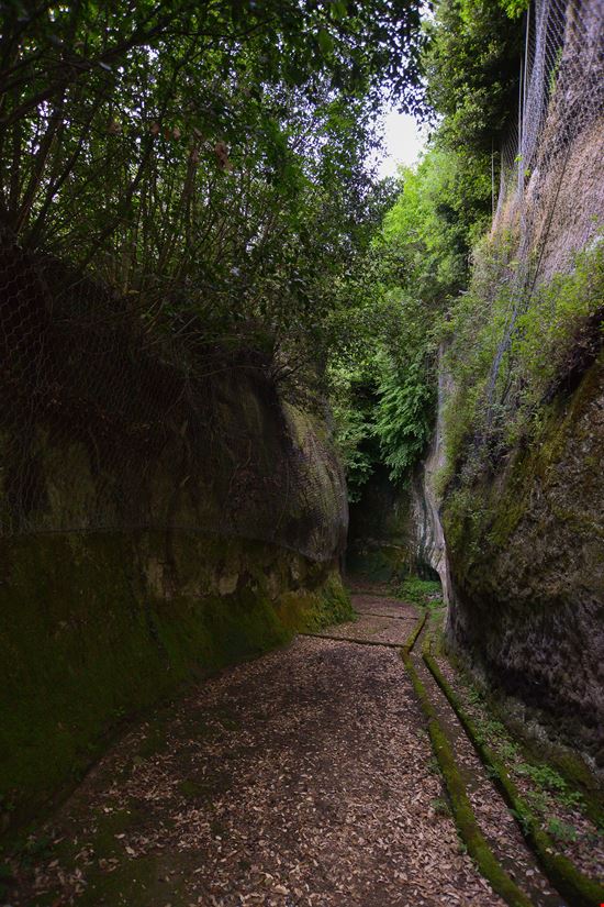 vie_cave_108987798-min.jpeg vie_cave_108987798-min.jpeg  