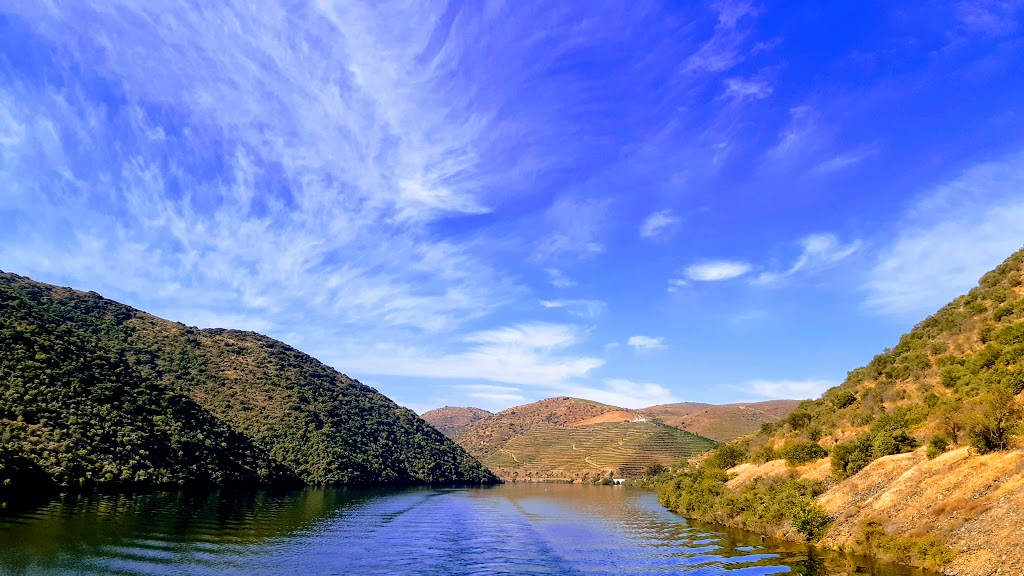 Vigneti lungo il Douro_foto by Voicesesearch.travel-min