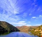 Vigneti lungo il Douro_foto by Voicesesearch.travel-min Vigneti lungo il Douro_foto by Voicesesearch.travel-min