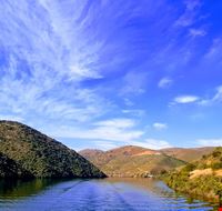 Vigneti lungo il Douro_foto by Voicesesearch.travel-min Vigneti lungo il Douro_foto by Voicesesearch.travel-min