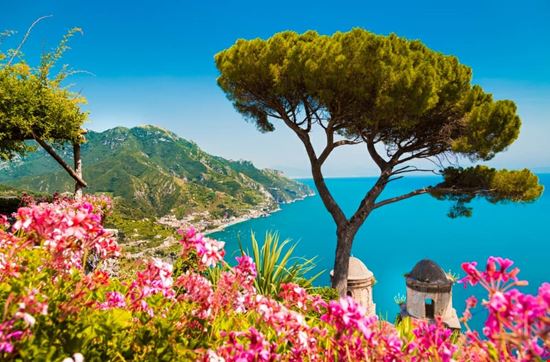villa rufolo ravello_255979126.jpeg villa rufolo ravello_255979126.jpeg  