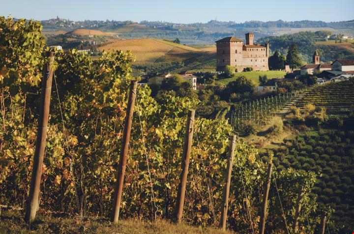 vino novello_1343592485