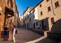 Volterra_1990037945
