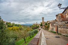 Volterra_303872628-min.jpeg