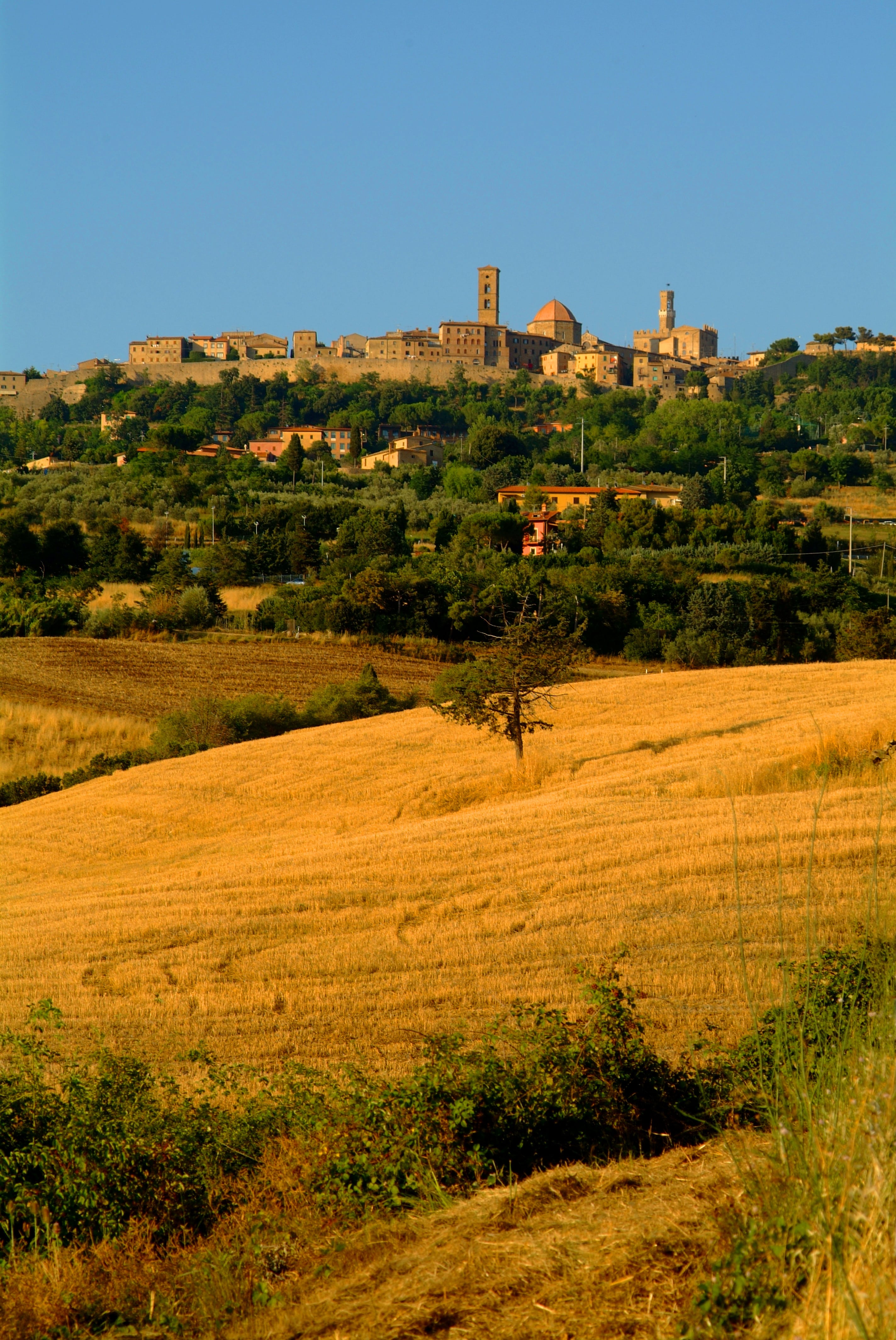 Volterra_311639-min.jpeg