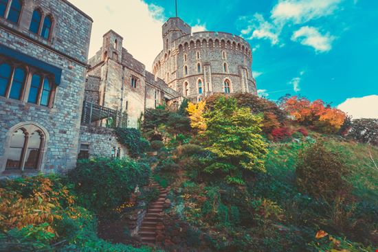Windsor_1093515590 Windsor_1093515590  