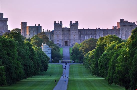 Windsor_715033267 Windsor_715033267  