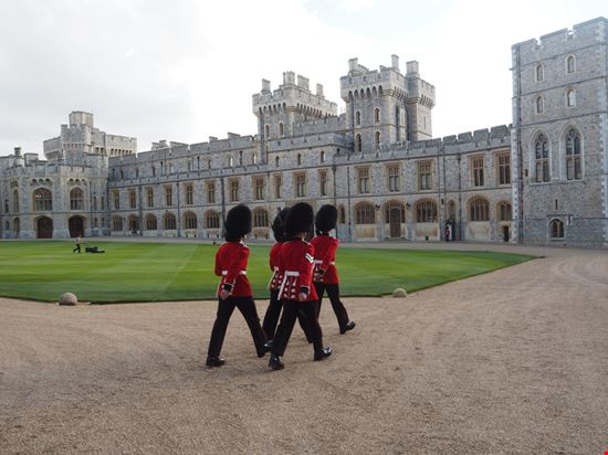 Windsor_745324594 Windsor_745324594  