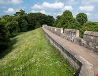York_1107393329