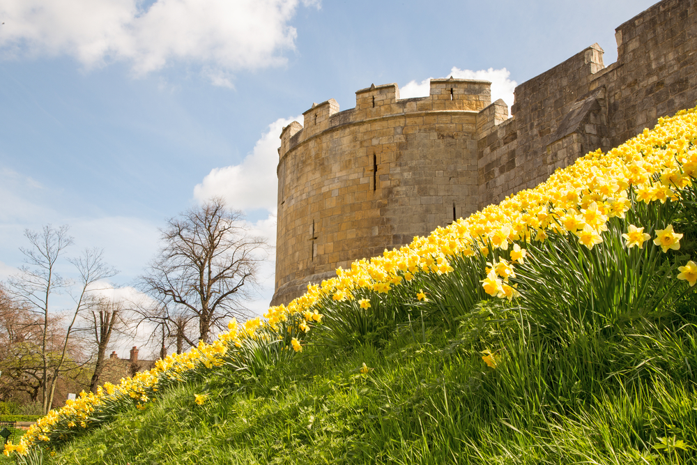 York_225763243