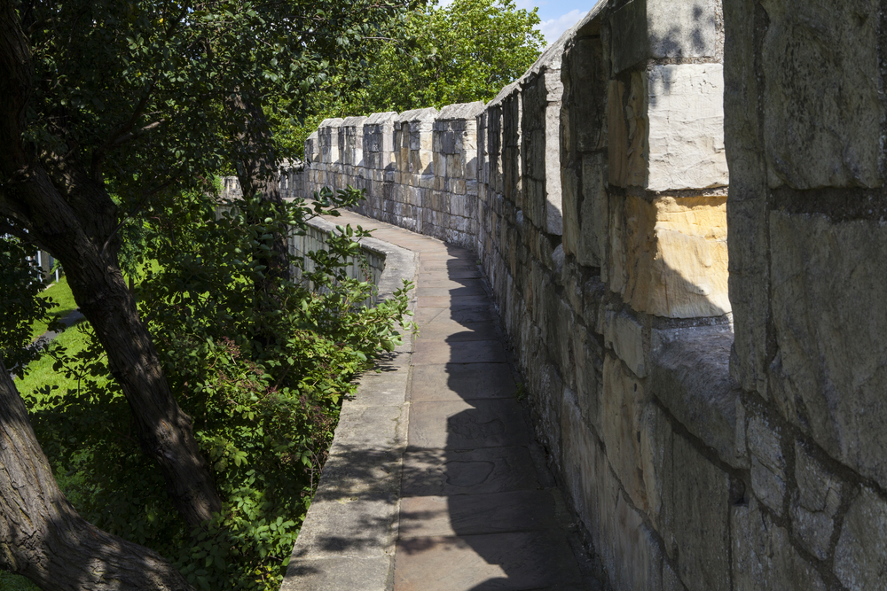York_314954765