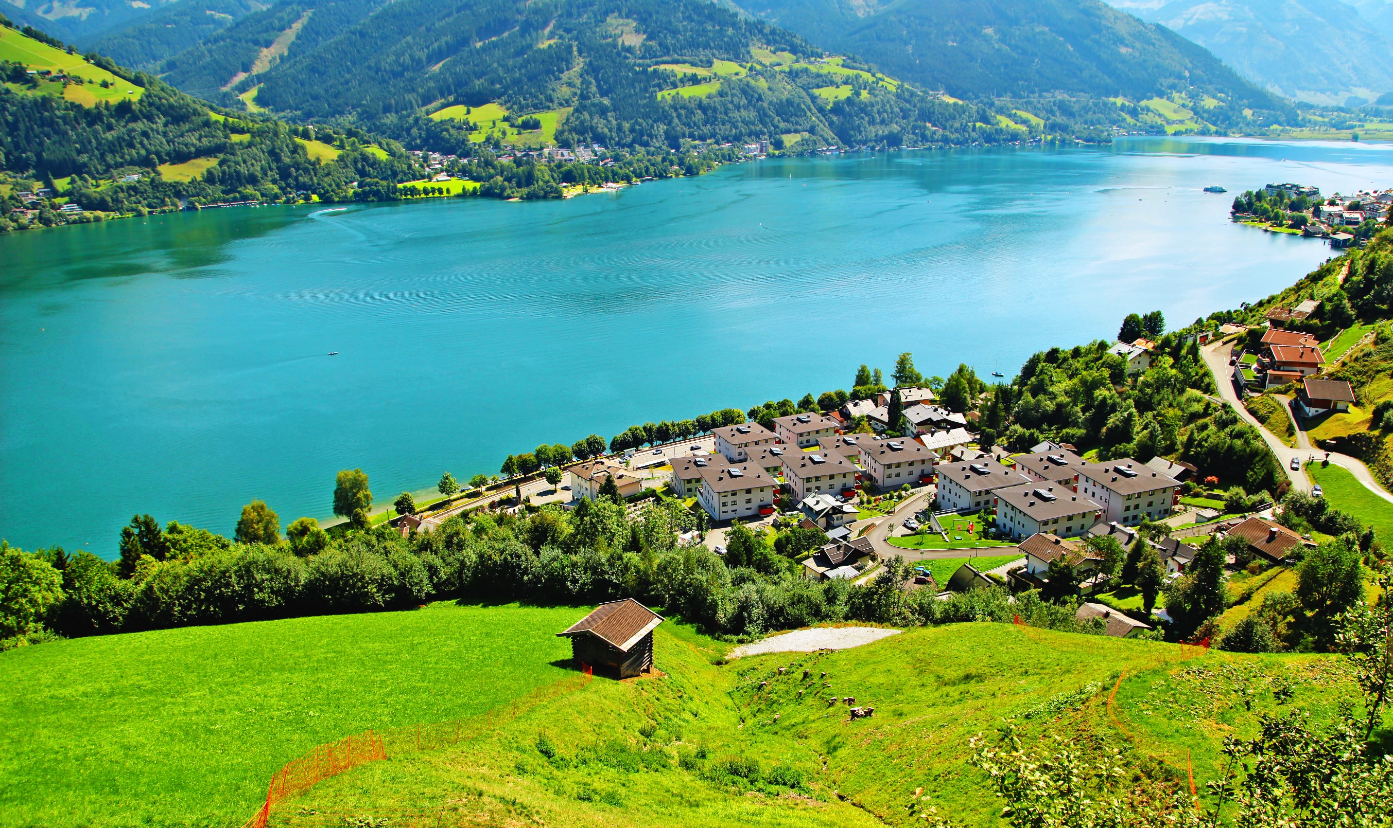 Zell_194550093-min.jpeg