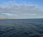 Mare terracina Mare terracina