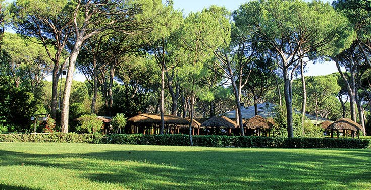 Camping Village