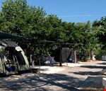 Camping Residence Atlantide Camping Residence Atlantide