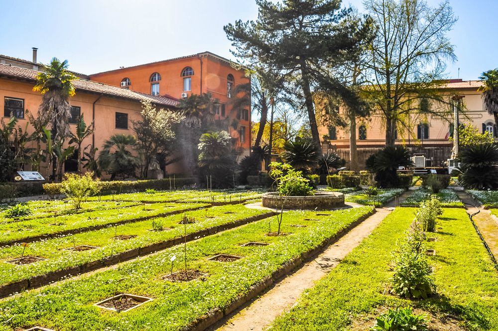 Orto Botanico Pisa