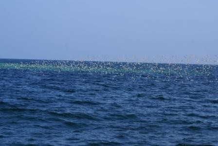 1009_4.jpg