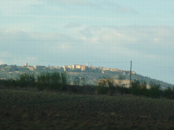 1010_2.jpg