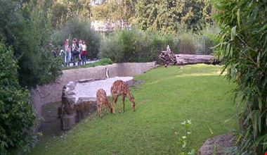 105_1.jpg 105_1.jpg
