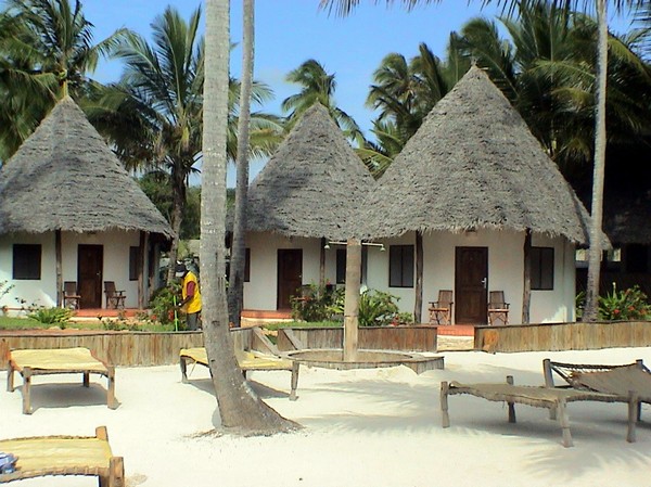1064_3.jpg