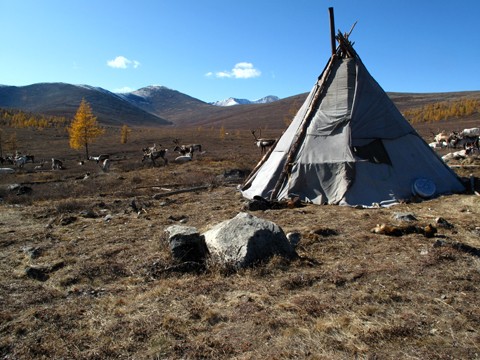 1072_17.jpg