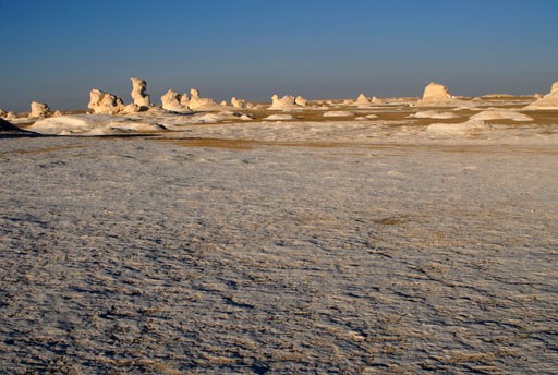 1073_12.jpg