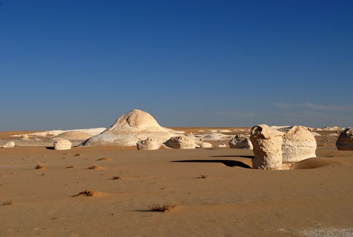 1073_7.jpg