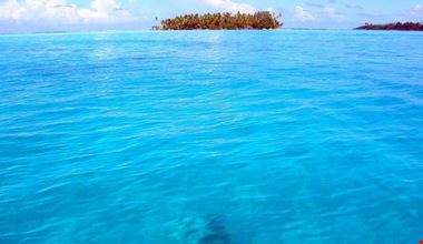 1124_1.jpg 1124_1.jpg