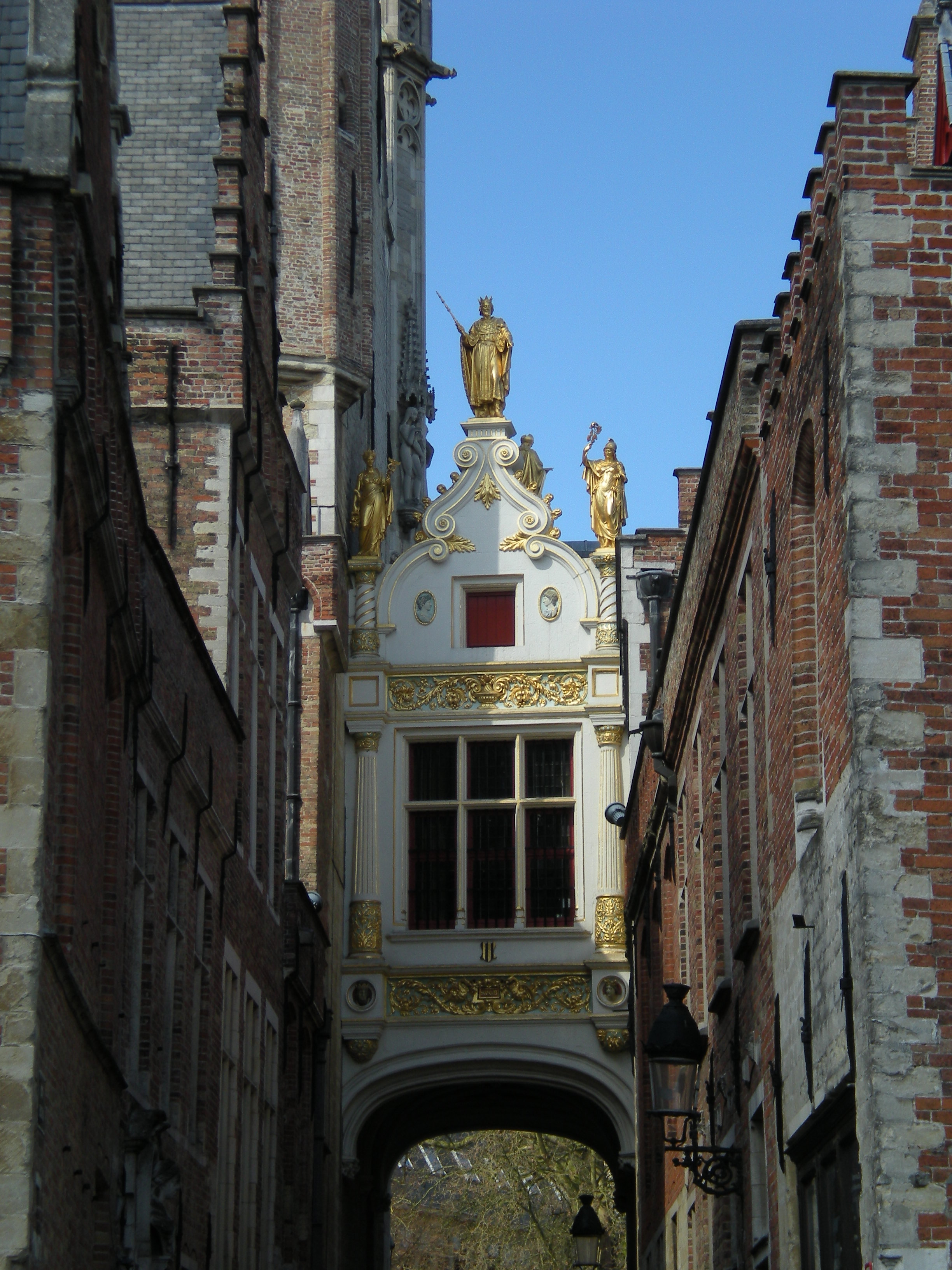 1137_5.jpg